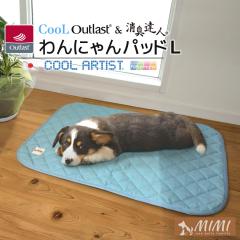 MIMI �N�[��  �A�E�g���X�g(R)& ���L�B�l(R)&���ɂ�� �p�b�h L�y��60�~80cm�z���{�� ���� ���x���� �R�� �h�L �h�_�j CooLArtist(R) 