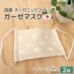 �yP10�{�z�K�[�[�}�X�N �I�[�K�j�b�N�R�b�g�� 2���g�� �h�b�g ���{�� �A�E�g���b�g �􂦂� ������ �_�u���K�[�[ 2���d�� �q���p �����p 