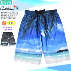 �������� ���� �j�̎q �C�p�� �q�� �T�[�t�p���c �X�C���E�F�A �L�b�Y �W���j�A �u�����h �q�ǂ� �X�C���p���c �X�C���E�G�A �j�q �� �� 