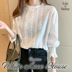 �X��SALE!! �L�����f�B�[�X���[�u �h�J ���[�X �u���E�X ��i ���ꂢ�� �ӂ��� �� �V���c �t �� / ���f�B�[�X �g�b�v�X �V���c �{����