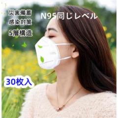 KN95}XN N95x 30 sDz 5w\ KN95 N`ڎ I~N ΍ jp lp ho ̌^  hoh