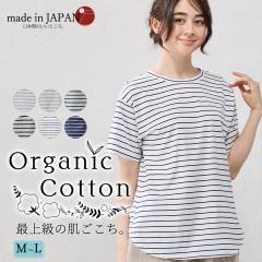 オーガニックコットン ボーダー カットソー 日本製 綿 綿100 Tシャツ ボートネック 半袖 レディース きれいめ ゆったり 大きいサイズ ラ