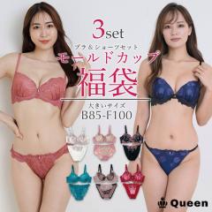 �傫���T�C�Y �u���V���[�c ���� �u���W���[ �V���[�c�Z�b�g (fukubura-3m)