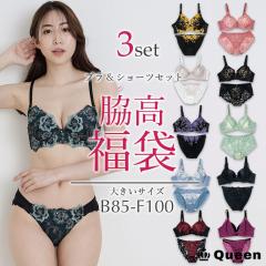 �傫���T�C�Y �e���u�� ���� �u���V���[�c�Z�b�g (fukubura-3w)