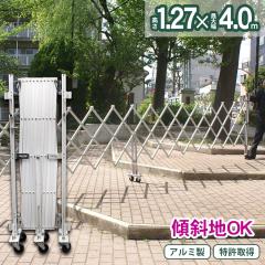  tFX A~Q[g EXG1240 1.2 4.0 A}bNX LX^[Q[g Lk AR[fBI zd J[ 