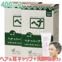 iCA[h wi{n[u Ԓ 400g2Zbg NO.2 +[NWO50ml+wALbv~2] naiad wi HENNA  p 