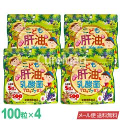 ���ǂ��̖������_�� �h���b�v�O�~ 100����4�܃Z�b�g �Ԃǂ����� ���{�� ���j�}�b�g���P�� ���[���� �������� �̖��O�~ �̖��h���b�v �q��