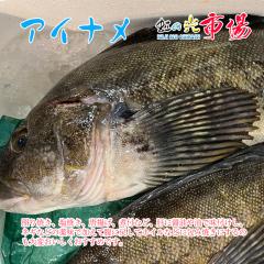 ���Y �����Ȃ� �Q�� ��Pkg �k�C���Y �A�C�i�� ���Ă� ���g��