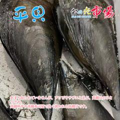 �r�b�N���V����T�C�Y �� ���L 5�� ��20cm- �o�[�x�L���[ �^�C���K�C