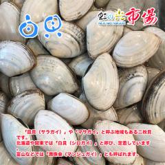�����L ��1kg ( 1��40-60g�O�� ) �V���K�C �L �o�[�x�L���[ �o�^�[�Ă� �L ���Y�� �V�N