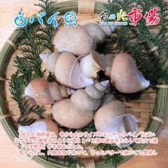 �{�C���������̂��킳�яݖ��Ńo�C�L ��3kg �k�t�� �L�� ���΂� �ϕt�� ������