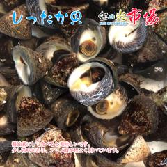 �� ���������L 500g �V�b�^�J �K�� �����Y �o�[�x�L���[ �o�^�[�Ă� �L ���Y�� �V�N