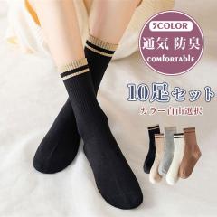 �C�� �\�b�N�X ���f�B�[�X 10���Z�b�g ���F ���g�� ���� �V���v�� ���̎q ���� �h�L �R�� �A�E�^�[ �X�|�[�c �V��