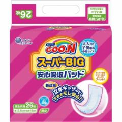 剤 GG[ O[ X[p[BIG Szpbh jp (26) 13.5cm~45cm   ނ lp AR A AƂ A