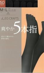 5�{�w�^�C�c 50�f�j�[�� ���f�B�[�X �i�� �g�� �^�C�c �ܖ{�w ������ �� M L tights �w�l 20 30 40 50 50 60 ���N �����΍� ���w ���r �L