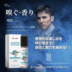 �����Y �L���[�s�b�h �����A�t�F������ ���� �ŋ� �����Y�A���}���`�b�N��M�����A�����Y ���� ���� ���� �����䂫����A���� �j���p 