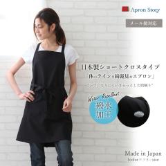 �V���[�g�G�v�����i�������H�j ���{�� ���ɋ��� �h�� ������� ���n �� �v���[���g �M�t�g ��̓��y���[����1���̂ݑΉ��\�z�yN�z�yY�z