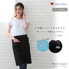 �M�����\���G�v�����i�������H�j ���{�� ���ɋ��� �h�� ������� ���n ��  �v���[���g �M�t�g ��̓��y���[����1���̂ݑΉ��\�z�yN�z�y