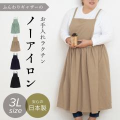 �y���[���ւP���̂ݑ��������z�m�[�A�C������ �傫�߃T�C�Y�̂ӂ���M���U�[�G�v�����y3�k�T�C�Y�z�傫���T�C�Y  ���{�� �m���A�C���� 