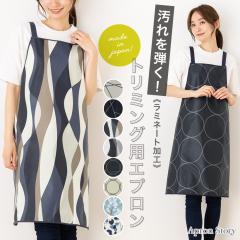 �y���[����1���̂ݑ��������z���~�l�[�g���H�g���~���O�G�v���� �k�� ���킢�� ������� ���{��  �͂��� ����ɋ��� �g���}�[ �y�b�g �v