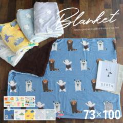 �y���k���[����1���̂ݑ��������z�f�W�v���u�����P�b�g 73�~100cm �V�}�G�i�K ���� ���g�� ���{�A  �Ђ��|�� �������� ���킢��  �v���[