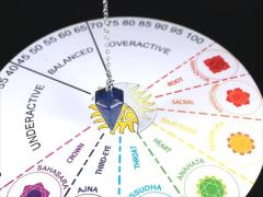 �_�E�W���O�`���[�g �ؐ��{�[�h ���a��20cm �_�E�W���O����ɍœK �ꏊ�����Ȃ��ؐ��{�[�h ���S�҂���v���܂Ŏg�p D�^�C�v �p���[�X�g