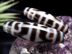 A�����V�� �Չ�@�ԓV�� ������񂩂Ă񂶂� �T�C�Y�F��37�~�� 1���� �ɏ� �V�R�� �r�[�Y �p���[�X�g�[�� te-p