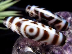 A�����V�� �����@�ԎO��V�� ���񂲂���񂩂��񂪂�Ă񂶂� �T�C�Y:��37mm-39mm 1���� �ɏ� �V�R�� �r�[�Y �p���[�X�g�[�� te-p �p��