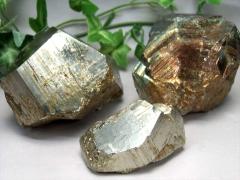 �p�C���C�g ���� ���� 1���� 150g-200g ���������^�C�v�� ���͂Ȏ׋C�P���̐� �ʖ� �t�[���Y�S�[���h ���҂̉��� �R���N�V������W�{��