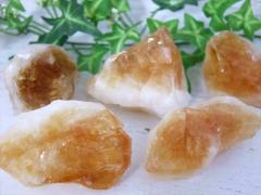 1���� �V�g���� ���t���� 40g-60g ����C�G���[ �������L�� ���^�E���^�E�K�^�̐� 11���̒a���� ������ �u���W���Y ngt �p���[�X�g�[��