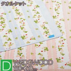 EFbWEbh ^IPbg _u  WW7620 { RR20130020 WEDGWOOD 100 180~210cm