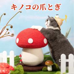 �L�m�R �܌��� �L�܌��� �i�{�[�� ��������t�� �L���b�g�^���[ �g�ݗ��ĕs�v ���� ��� ���� ������� �L�m�R�^ �܂Ƃ� �L�܂Ƃ� �� 