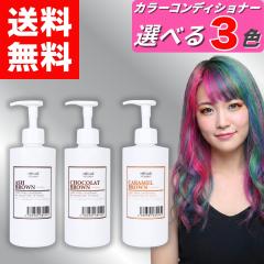 �y �G���V�F�[���Y �J���[�R���f�B�V���i�[ �I�ׂ�3�F �e 400g �z �N���b�v�W���C���g �w�A�R���f�B�V���i�[ �A�b�V���u���E�� �V���R��