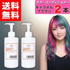 �y �G���V�F�[���Y �J���[�R���f�B�V���i�[ �L���������u���E�� 400g �z�~ 2�{ �N���b�v�W���C���g �w�A�J���[ �L���������u���E���R���f