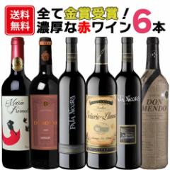 【送料無料】金賞受賞 濃厚赤ワインセット 750ml × 6本