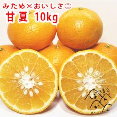 ���㊮�n �É� 10kg �󂠂� L�`4L 20�`30�� �݂��߁~���������� ���k �Y�n���� ���Q�����쒬�Y�y�����������k�C���E����͏����z