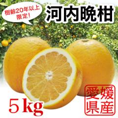 �v���~�A���͓��ӊ� ����20�N�ȏ����I�󂠂�5kg ���������N��̖��y���킿�΂񂩂񈤕Q�����쒬�Y�z�����������k�C���E����͏���