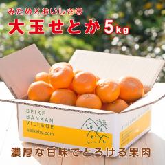 �Z���ȊÖ��łƂ낯��ʓ������Ƃ� �󂠂�5kg ���ʁ`��� L-4L �݂��߁~���������� �������i �Z�[�� 