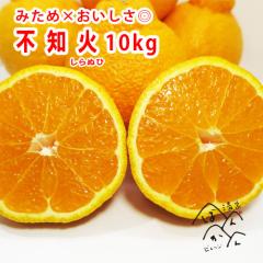 �s�m�� 10kg �󂠂� ���ʁy�f�R�|���Ɠ����i��z5kg�~2�� �݂��߁~���������� �Â��Ïk ���Q���Y �Y�n�����y�����������k�C���E����͏�