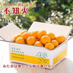 �s�m�� �󂠂�3kg�y�f�R�|���Ɠ����i��z�݂��߁~���������� �Â��Ïk ���Q���Y �Y�n�����y�����������k�C���E����͏����z