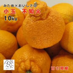 �s�m�� ���� 10kg[5kg�~�Q��]�󂠂�y�f�R�|���Ɠ����i��z�݂��߁~���������� �Â��Ïk ���Q���Y �Y�n�����y���������z