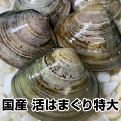 yΕ Ε N N av[g MtgzY ͂܂5kg50OずƂꂽĒIaapɂlCi1/2`1/