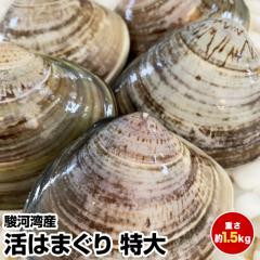 yΕ Ε N N av[g MtgzY ͂܂聚()1.5kg 15O x͘pYƂꂽĒNxQI(1/