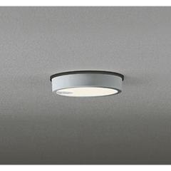 �I�[�f���b�N OG254526R �����p�V�[�����O���C�g ���M�����100W���� �l���Z���T�[ON-OFF�^ �d���F �}�b�g�V���o�[ �h�J�^ ODELIC