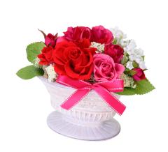 �t���[���b�N�X PV-1211 �v���U�[�u�h�t�����[�A�����W�����g ���[�Y ��̓� �v���[���g ���蕨 (����s��)