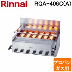 iC RGA-406C(A)-LP KXԊOO[ ΃^Cv  rV[Y 6 VoNo[i[ 1RbN1o[i[ vpKX(LP)p R