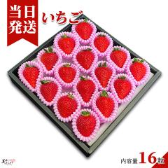 [��������] �������Ƃ��ǂ� �a�̎R���Y �K�������� 16�� �I�̍K �M�t�g�{�b�N�X ���� ������  ����S ����؃\�����G�ďC