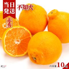 [��������] �������Ƃ��ǂ� �a�̎R���Y ����ʂ� �s�m�� 10kg �f�R�|���Ɠ����i�� �a�̎R���Y �Y�n���� �ł��ۂ� ��؃\�����G���I��