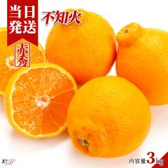 [��������] �������Ƃ��ǂ� �a�̎R���Y ����ʂ� �s�m�� 3kg �f�R�|���Ɠ����i�� �a�̎R���Y �Y�n���� �ł��ۂ� ��؃\�����G���I��