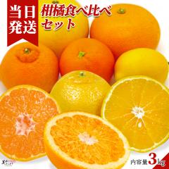 [��������] �������Ƃ��ǂ� �a�̎R���Y �\�����G���I ���k �H�ה�� �Z�b�g ��3kg ��؃\�����G���� �� �݂��� �|���J�� ���� �f�R�|�� 